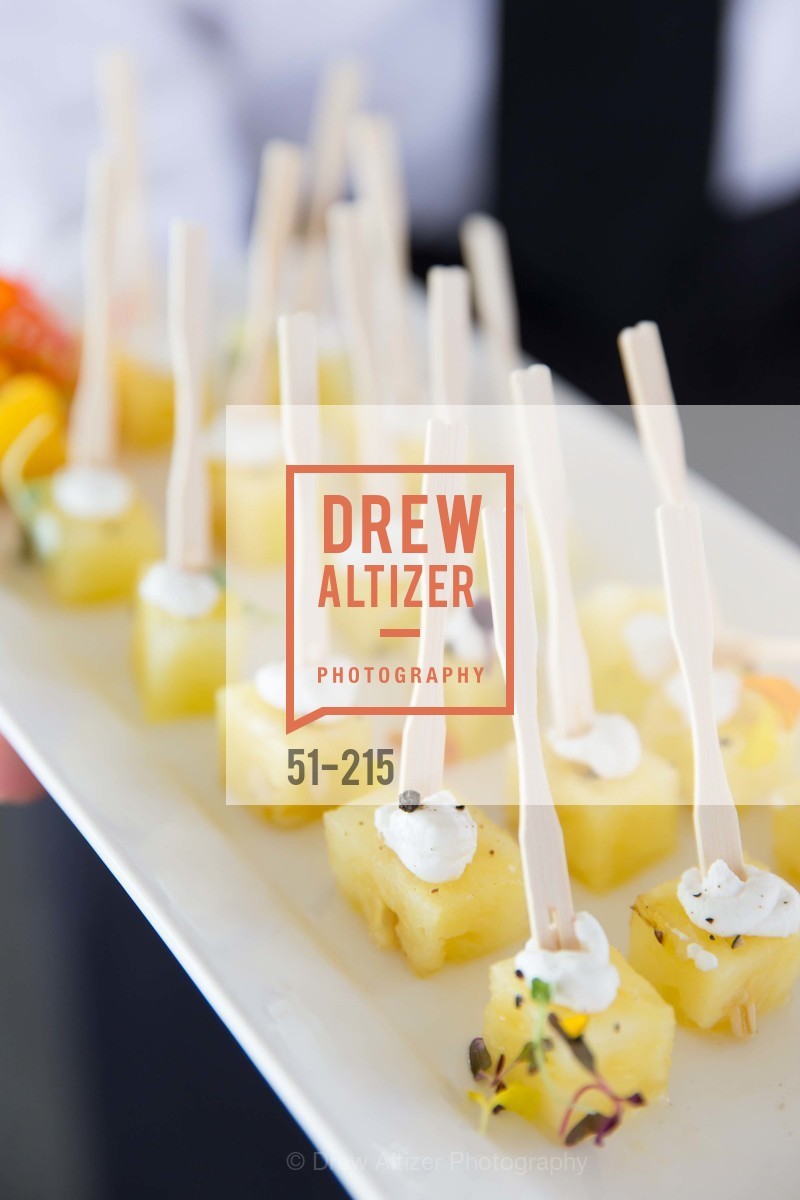 Atmosphere, 2015 GIANT STEPS Charity Classic presented by Hermes, Sonoma Horse Park. 7600 Lakeville Highway, August 1st, 2015,Drew Altizer, Drew Altizer Photography, full-service agency, private events, San Francisco photographer, photographer california