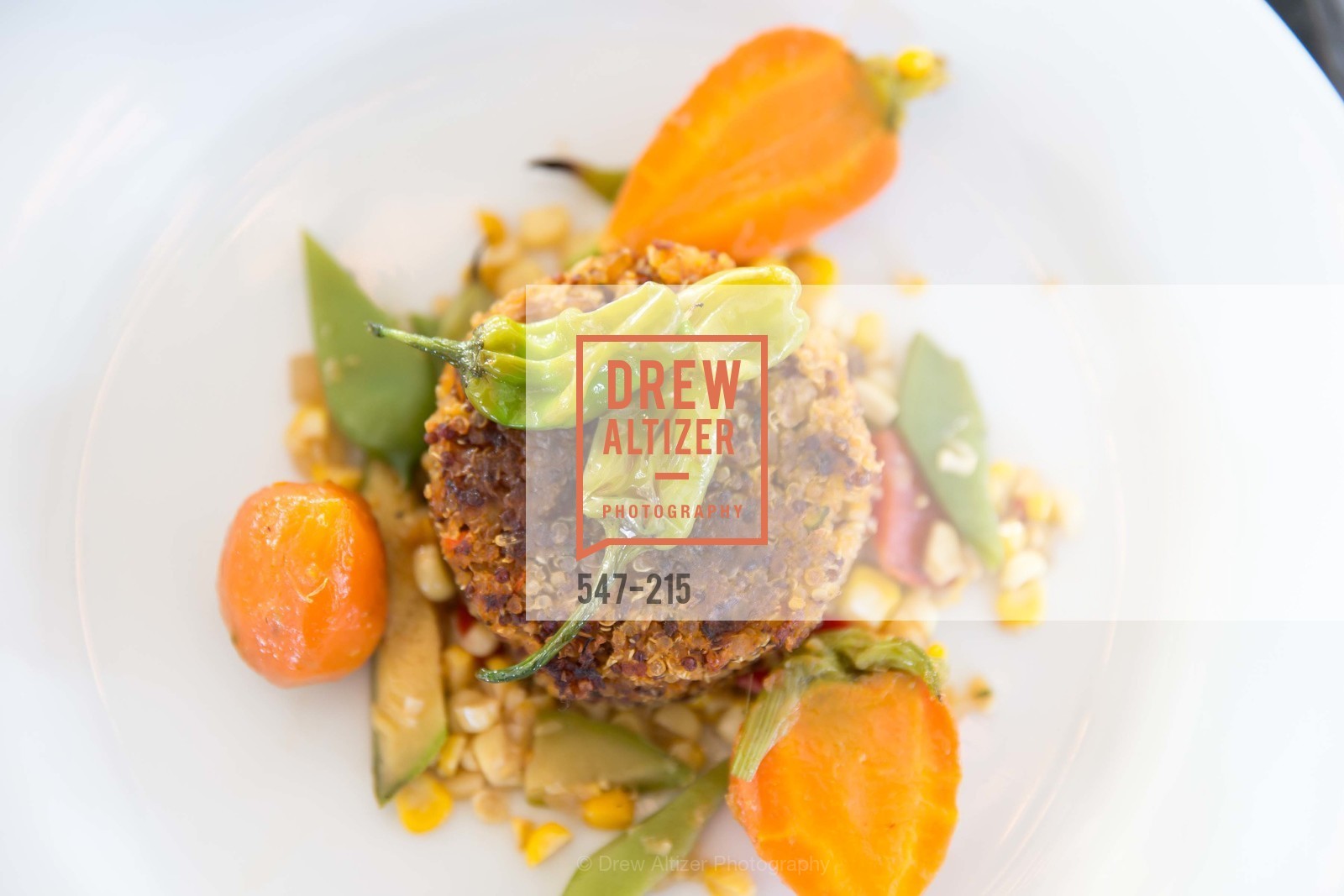 Atmosphere, 2015 GIANT STEPS Charity Classic presented by Hermes, Sonoma Horse Park. 7600 Lakeville Highway, August 1st, 2015,Drew Altizer, Drew Altizer Photography, full-service agency, private events, San Francisco photographer, photographer california