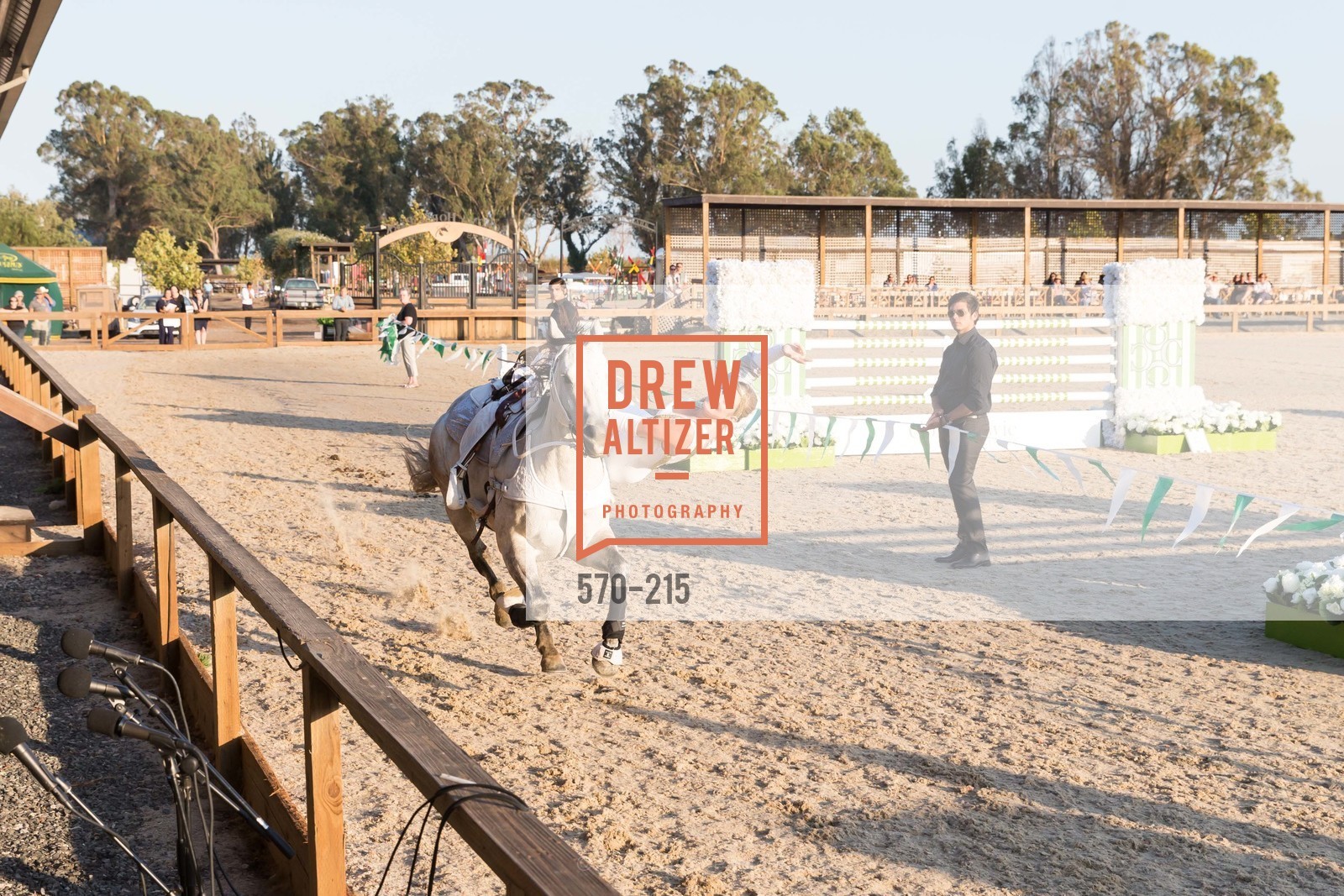 Horse Show, 2015 GIANT STEPS Charity Classic presented by Hermes, Sonoma Horse Park. 7600 Lakeville Highway, August 1st, 2015,Drew Altizer, Drew Altizer Photography, full-service agency, private events, San Francisco photographer, photographer california