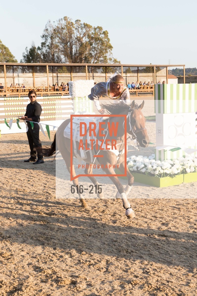 Horse Show, 2015 GIANT STEPS Charity Classic presented by Hermes, Sonoma Horse Park. 7600 Lakeville Highway, August 1st, 2015,Drew Altizer, Drew Altizer Photography, full-service agency, private events, San Francisco photographer, photographer california