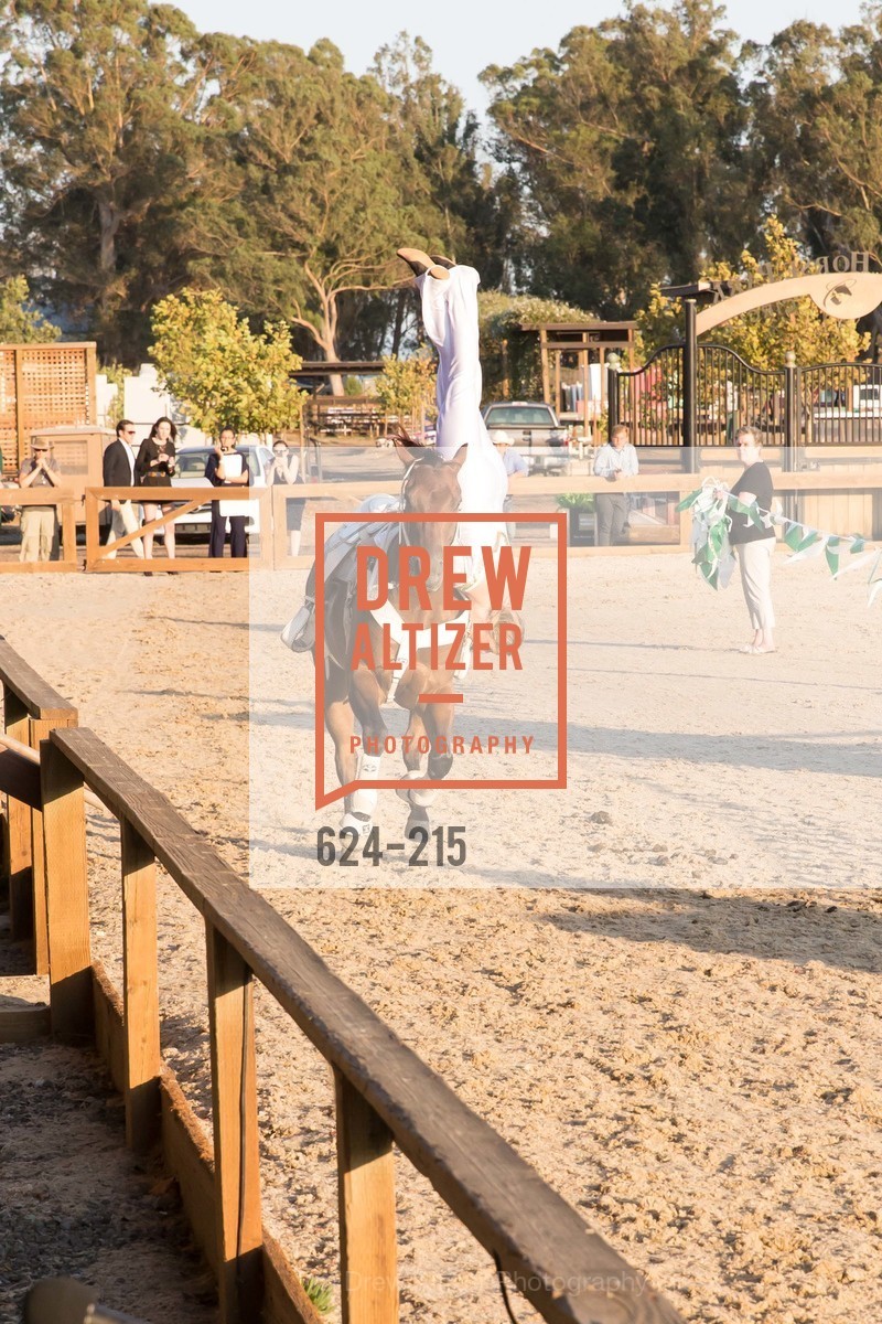 Horse Show, 2015 GIANT STEPS Charity Classic presented by Hermes, Sonoma Horse Park. 7600 Lakeville Highway, August 1st, 2015,Drew Altizer, Drew Altizer Photography, full-service event agency, private events, San Francisco photographer, photographer California