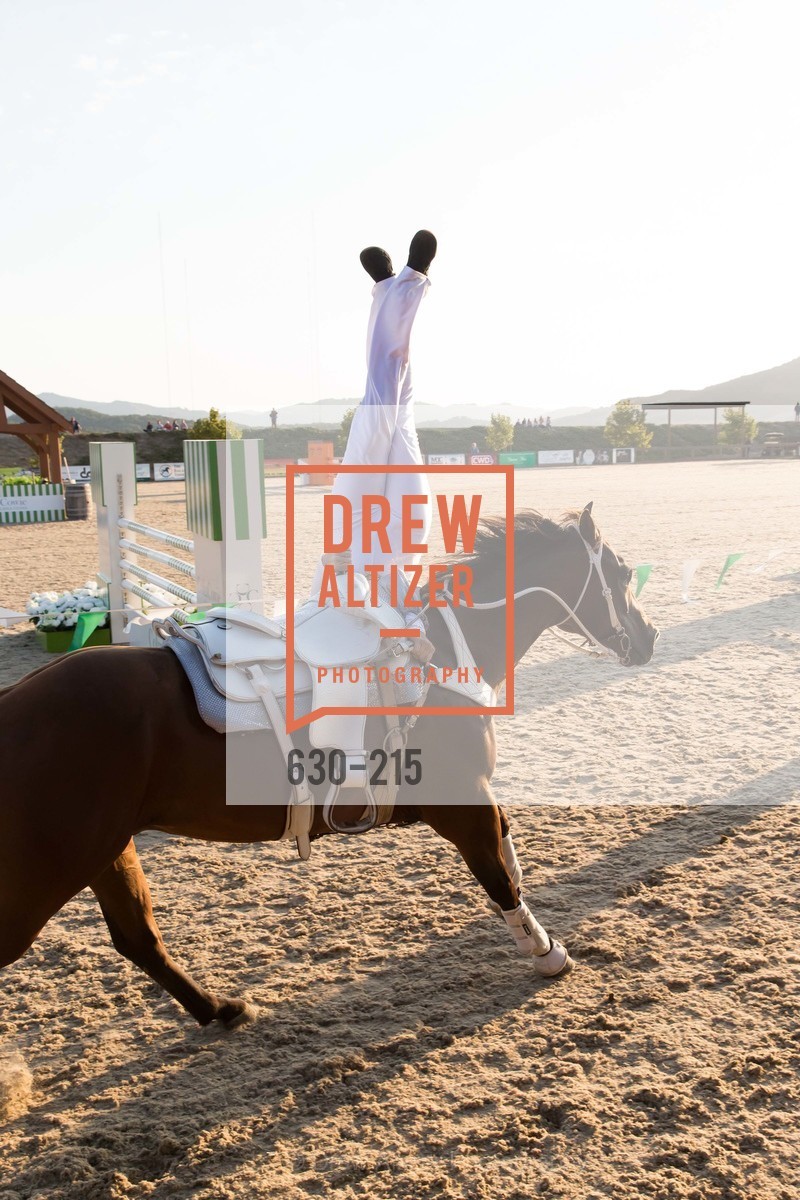 Horse Show, 2015 GIANT STEPS Charity Classic presented by Hermes, Sonoma Horse Park. 7600 Lakeville Highway, August 1st, 2015,Drew Altizer, Drew Altizer Photography, full-service agency, private events, San Francisco photographer, photographer california
