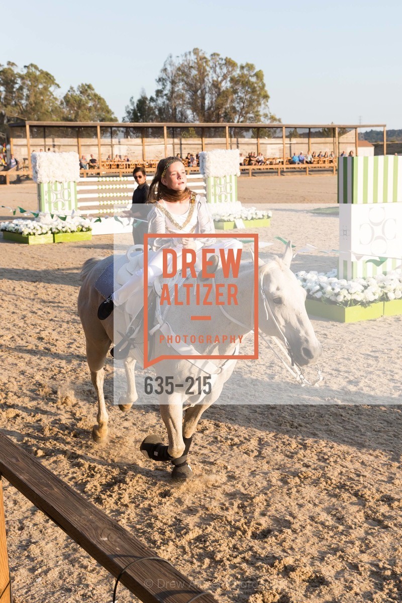 Horse Show, 2015 GIANT STEPS Charity Classic presented by Hermes, Sonoma Horse Park. 7600 Lakeville Highway, August 1st, 2015,Drew Altizer, Drew Altizer Photography, full-service event agency, private events, San Francisco photographer, photographer California