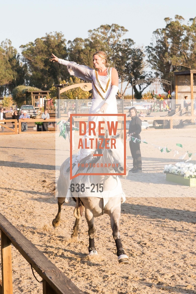 Horse Show, 2015 GIANT STEPS Charity Classic presented by Hermes, Sonoma Horse Park. 7600 Lakeville Highway, August 1st, 2015,Drew Altizer, Drew Altizer Photography, full-service agency, private events, San Francisco photographer, photographer california