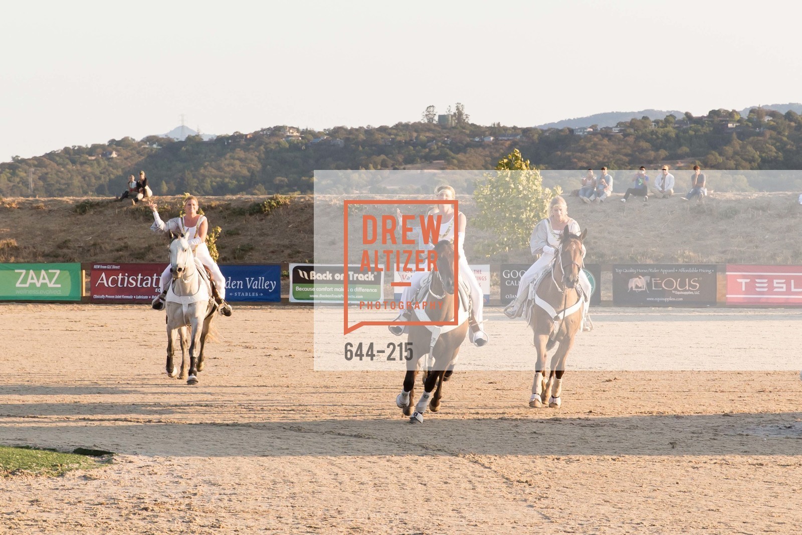 Horse Show, 2015 GIANT STEPS Charity Classic presented by Hermes, Sonoma Horse Park. 7600 Lakeville Highway, August 1st, 2015,Drew Altizer, Drew Altizer Photography, full-service agency, private events, San Francisco photographer, photographer california