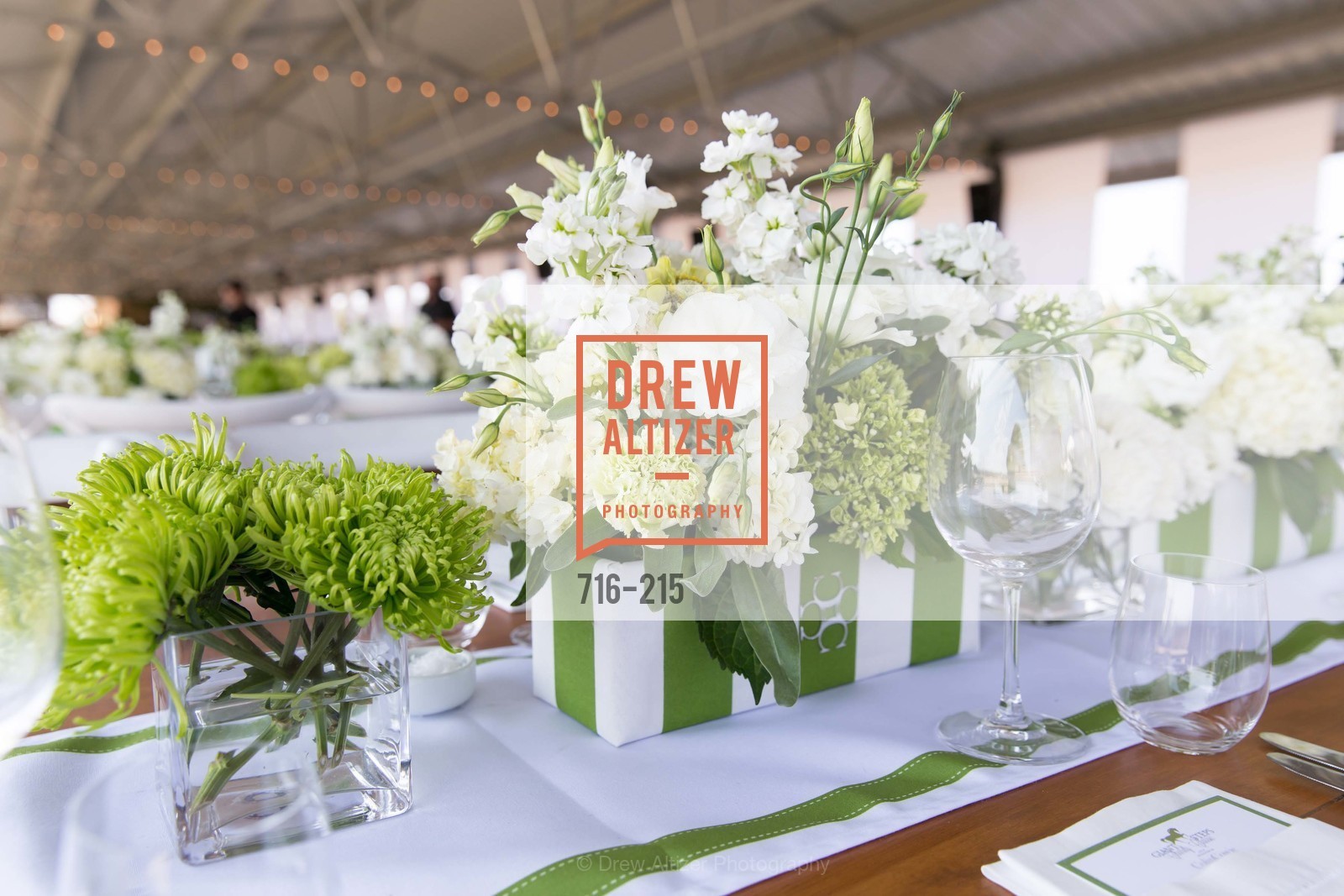 Atmosphere, 2015 GIANT STEPS Charity Classic presented by Hermes, Sonoma Horse Park. 7600 Lakeville Highway, August 1st, 2015,Drew Altizer, Drew Altizer Photography, full-service agency, private events, San Francisco photographer, photographer california