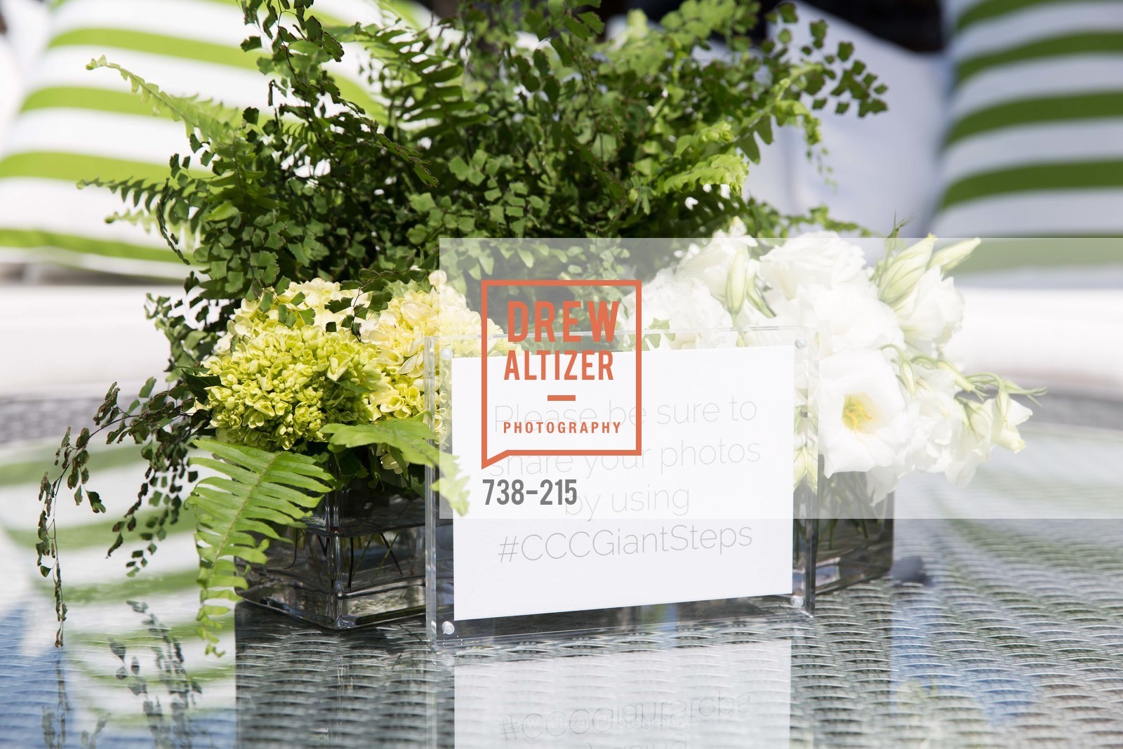 Atmosphere, 2015 GIANT STEPS Charity Classic presented by Hermes, Sonoma Horse Park. 7600 Lakeville Highway, August 1st, 2015,Drew Altizer, Drew Altizer Photography, full-service agency, private events, San Francisco photographer, photographer california