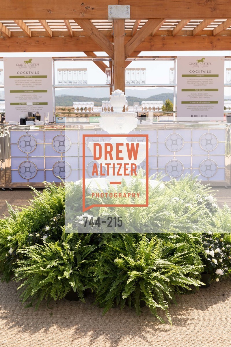 Atmosphere, 2015 GIANT STEPS Charity Classic presented by Hermes, Sonoma Horse Park. 7600 Lakeville Highway, August 1st, 2015,Drew Altizer, Drew Altizer Photography, full-service agency, private events, San Francisco photographer, photographer california