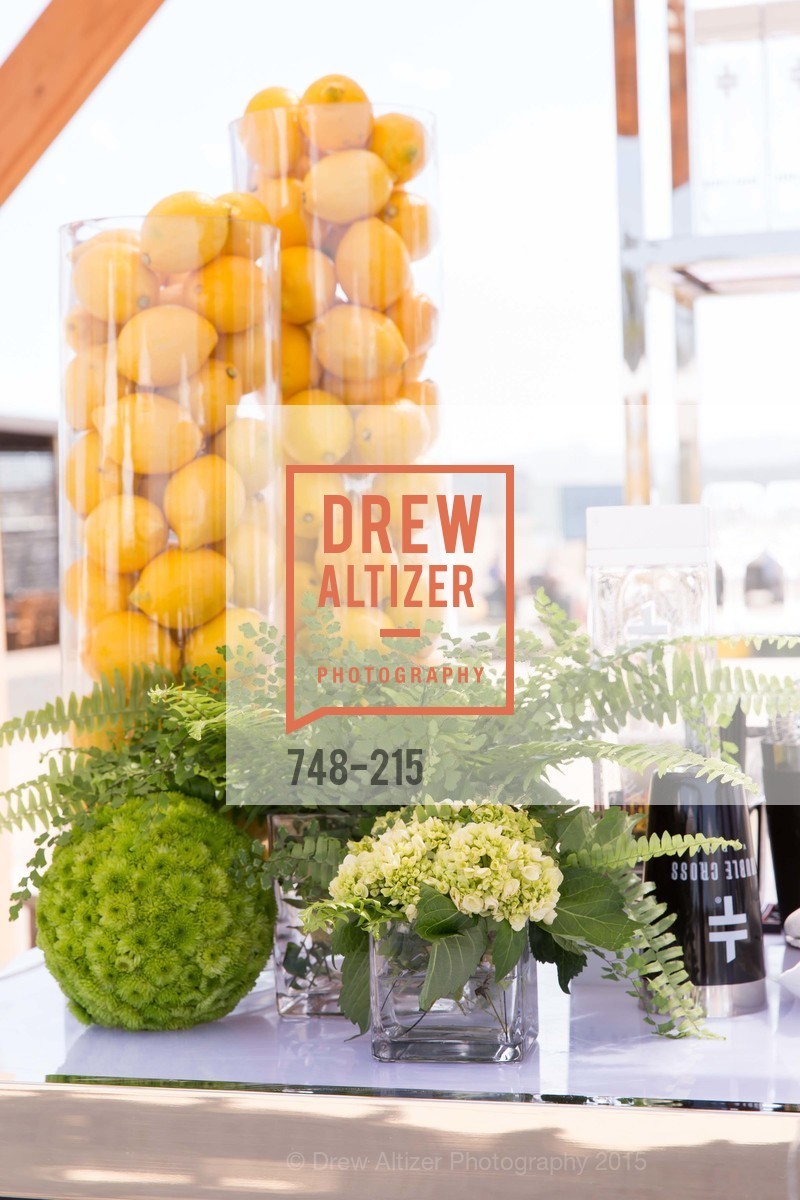 Atmosphere, 2015 GIANT STEPS Charity Classic presented by Hermes, Sonoma Horse Park. 7600 Lakeville Highway, August 1st, 2015,Drew Altizer, Drew Altizer Photography, full-service event agency, private events, San Francisco photographer, photographer California