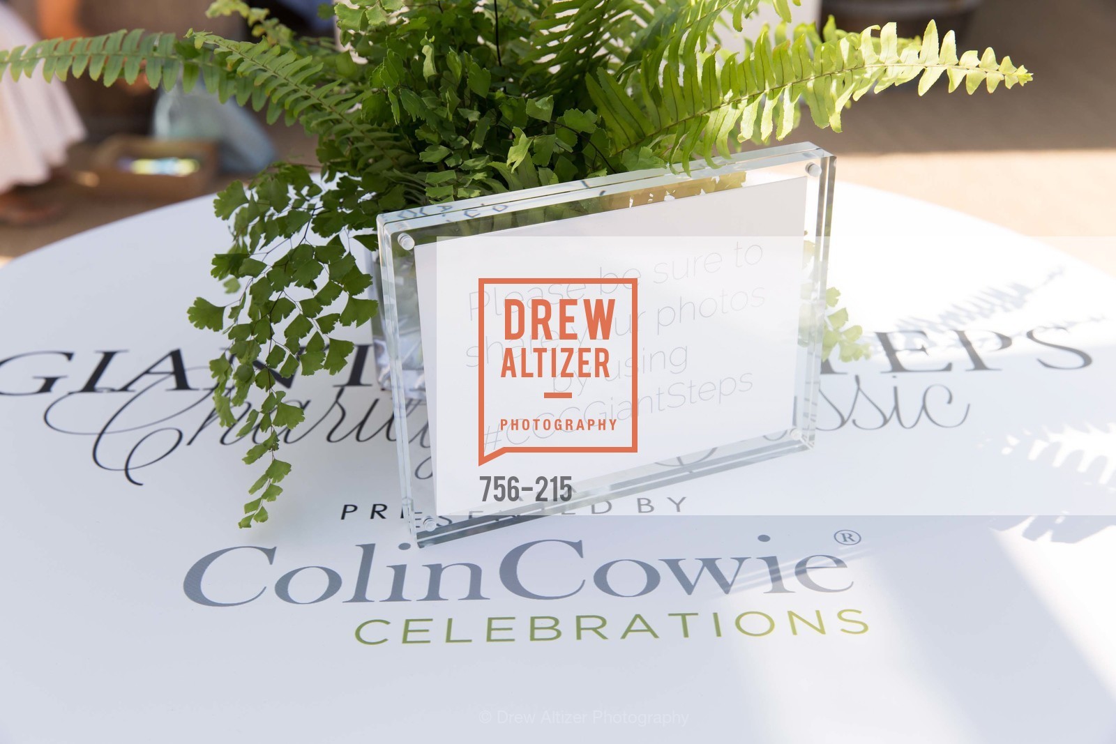Atmosphere, 2015 GIANT STEPS Charity Classic presented by Hermes, Sonoma Horse Park. 7600 Lakeville Highway, August 1st, 2015,Drew Altizer, Drew Altizer Photography, full-service agency, private events, San Francisco photographer, photographer california