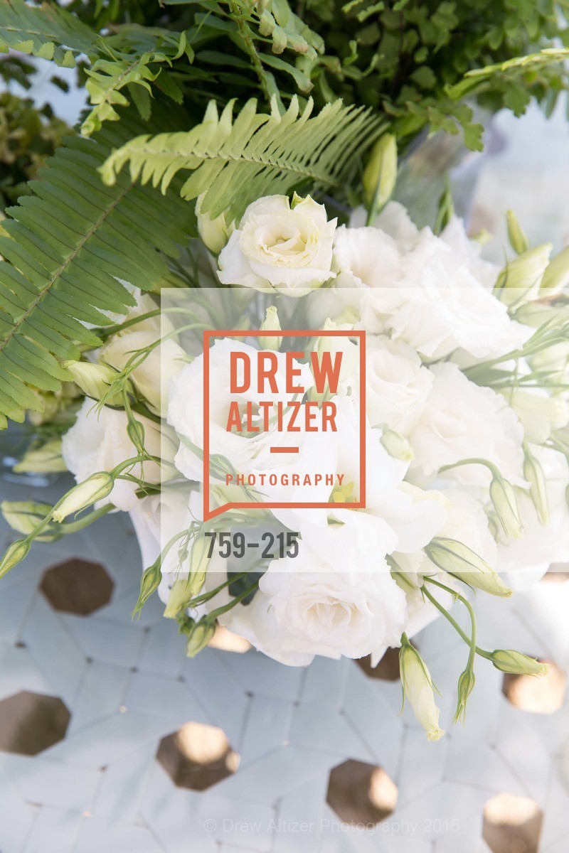 Atmosphere, 2015 GIANT STEPS Charity Classic presented by Hermes, Sonoma Horse Park. 7600 Lakeville Highway, August 1st, 2015,Drew Altizer, Drew Altizer Photography, full-service agency, private events, San Francisco photographer, photographer california