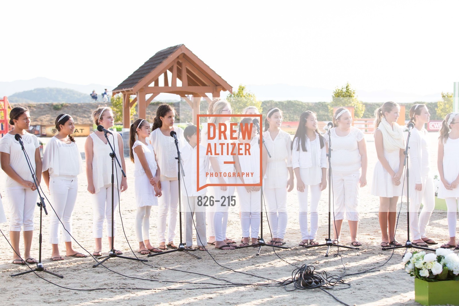 Performance, 2015 GIANT STEPS Charity Classic presented by Hermes, Sonoma Horse Park. 7600 Lakeville Highway, August 1st, 2015,Drew Altizer, Drew Altizer Photography, full-service agency, private events, San Francisco photographer, photographer california