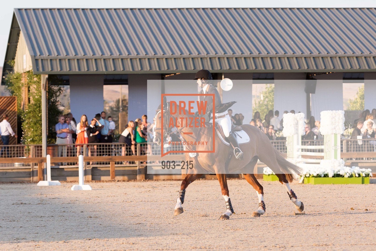 Horse Show, 2015 GIANT STEPS Charity Classic presented by Hermes, Sonoma Horse Park. 7600 Lakeville Highway, August 1st, 2015,Drew Altizer, Drew Altizer Photography, full-service agency, private events, San Francisco photographer, photographer california
