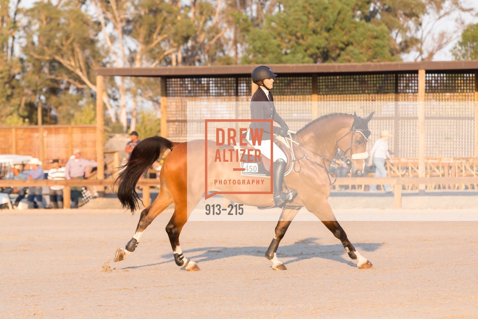 Horse Show, 2015 GIANT STEPS Charity Classic presented by Hermes, Sonoma Horse Park. 7600 Lakeville Highway, August 1st, 2015,Drew Altizer, Drew Altizer Photography, full-service event agency, private events, San Francisco photographer, photographer California