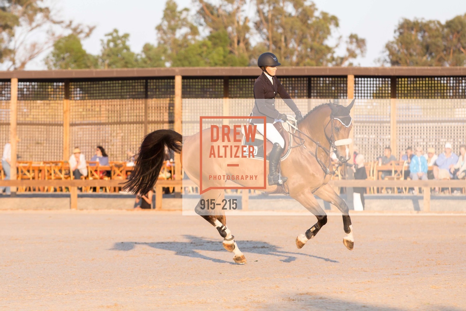 Horse Show, 2015 GIANT STEPS Charity Classic presented by Hermes, Sonoma Horse Park. 7600 Lakeville Highway, August 1st, 2015,Drew Altizer, Drew Altizer Photography, full-service agency, private events, San Francisco photographer, photographer california