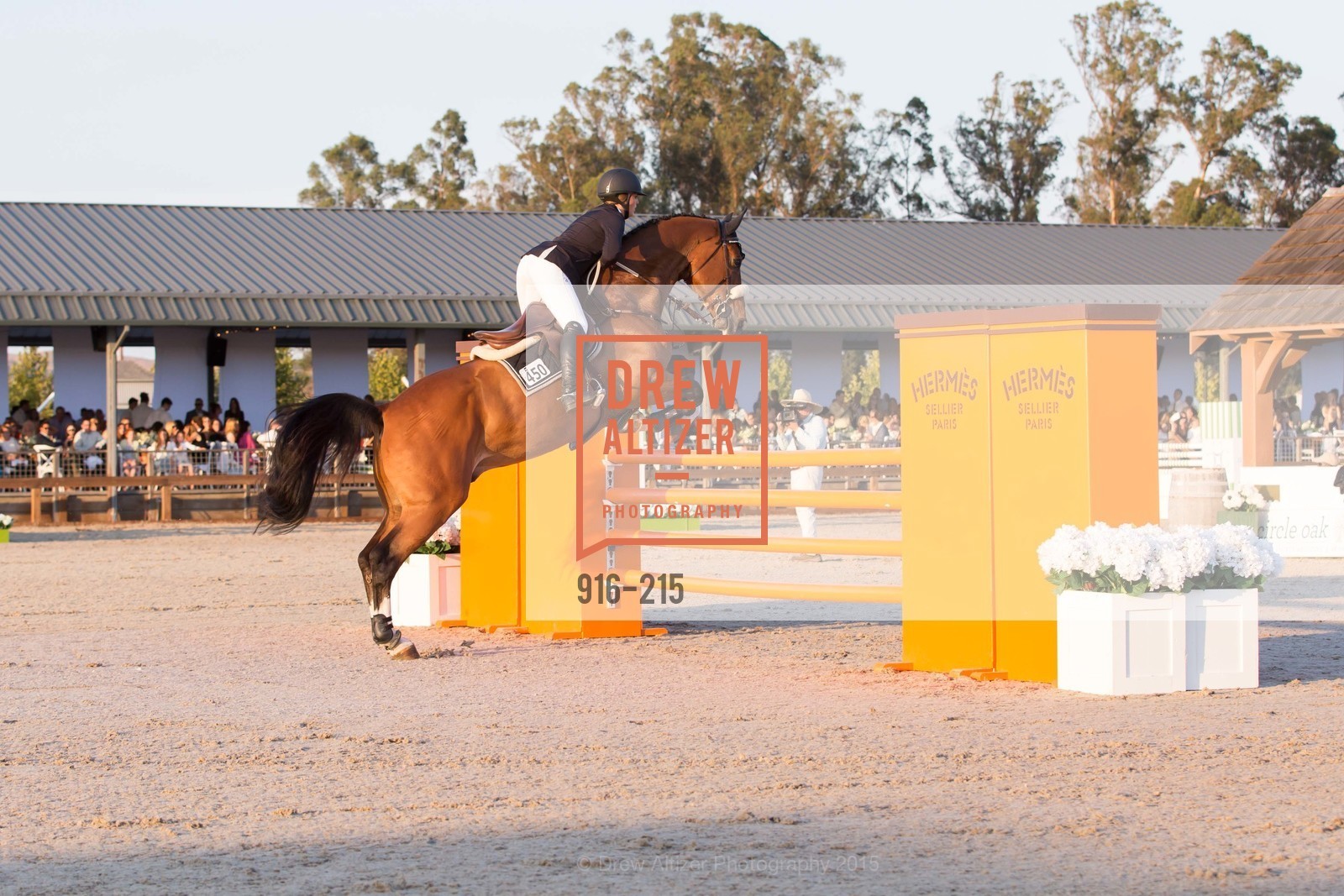 Horse Show, 2015 GIANT STEPS Charity Classic presented by Hermes, Sonoma Horse Park. 7600 Lakeville Highway, August 1st, 2015,Drew Altizer, Drew Altizer Photography, full-service agency, private events, San Francisco photographer, photographer california