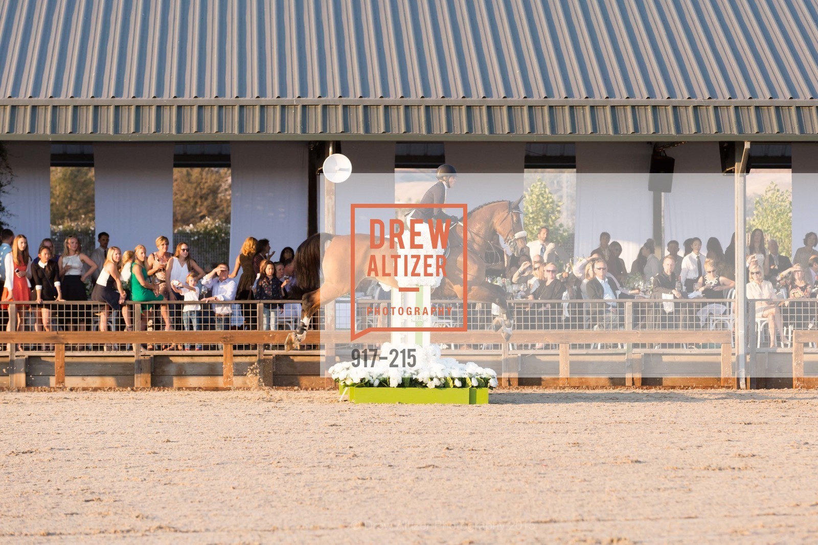 Horse Show, 2015 GIANT STEPS Charity Classic presented by Hermes, Sonoma Horse Park. 7600 Lakeville Highway, August 1st, 2015,Drew Altizer, Drew Altizer Photography, full-service agency, private events, San Francisco photographer, photographer california