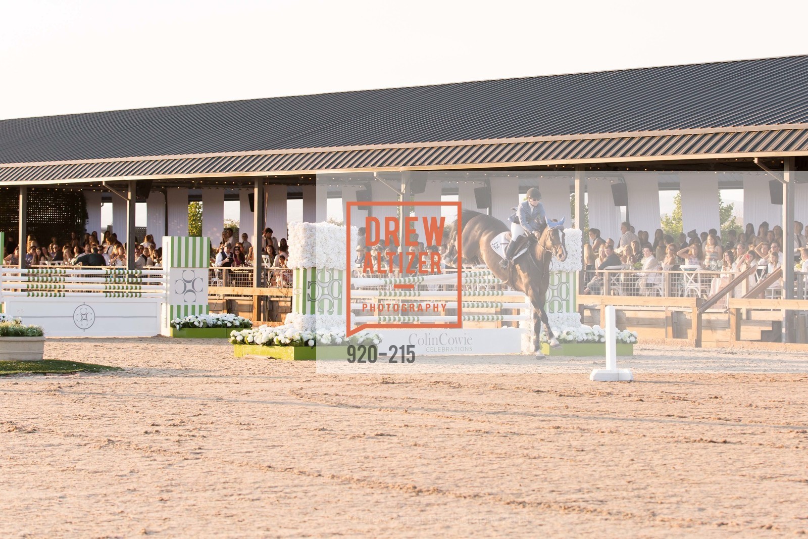 Horse Show, 2015 GIANT STEPS Charity Classic presented by Hermes, Sonoma Horse Park. 7600 Lakeville Highway, August 1st, 2015,Drew Altizer, Drew Altizer Photography, full-service agency, private events, San Francisco photographer, photographer california