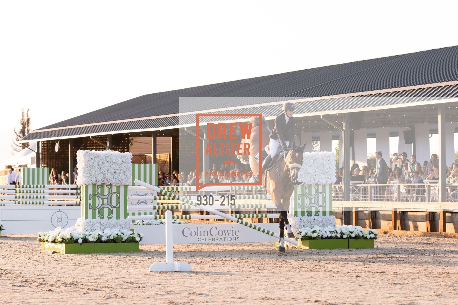 Horse Show, 2015 GIANT STEPS Charity Classic presented by Hermes, Sonoma Horse Park. 7600 Lakeville Highway, August 1st, 2015,Drew Altizer, Drew Altizer Photography, full-service agency, private events, San Francisco photographer, photographer california