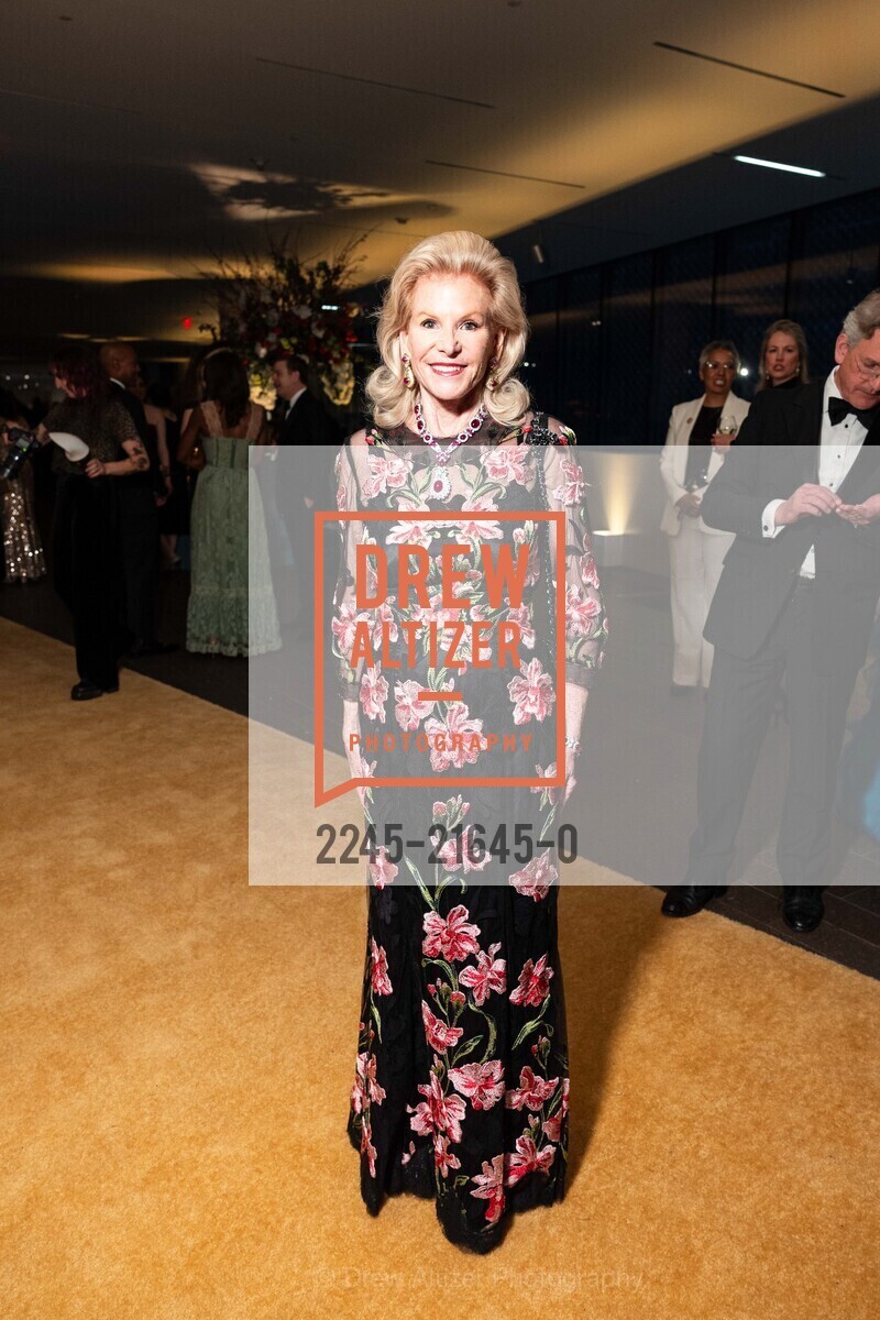 Dede Wilsey, Annual Gala 2024 with The deYoung and the Fine Arts Museums of San Francisco, de Young Museum. 50 Hagiwara Tea Garden Dr, SF, CA 94118 US, Photo #2245-21645-0 Dede Wilsey, Photo #2245-21645-0