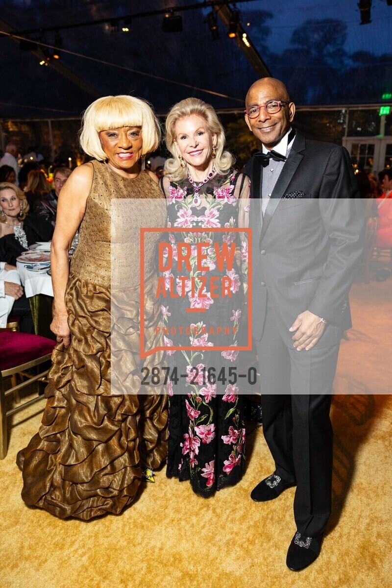 Brenda Wright, Dede Wilsey, Steve Bowdry, Annual Gala 2024 with The deYoung and the Fine Arts Museums of San Francisco, de Young Museum. 50 Hagiwara Tea Garden Dr, SF, CA 94118 US, Photo #2874-21645-0 Brenda Wright, Dede Wilsey, Steve Bowdry, Photo #2874-21645-0