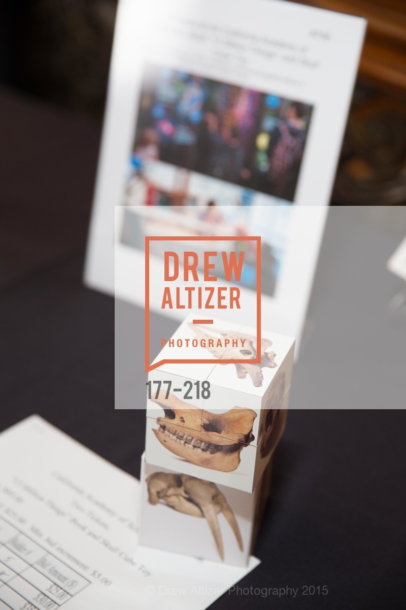 Atmosphere, Salvation Army Flower Power Luncheon, Sir Francis Drake Hotel. 450 Powell St, August 4th, 2015,Drew Altizer, Drew Altizer Photography, full-service agency, private events, San Francisco photographer, photographer california