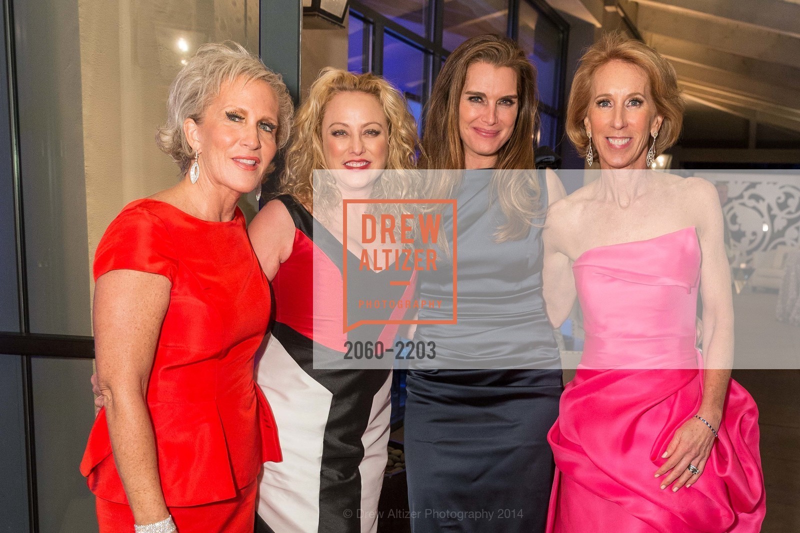 Melissa Badger, Virginia Madsen, Brooke Shields, Mikey Hoag, Part the Cloud 2014, Rosewood Sand Hill Hotel. San Francisco, May 13th, 2014, Photo #2060-2203 Melissa Badger, Virginia Madsen, Brooke Shields, Mikey Hoag, Photo #2060-2203