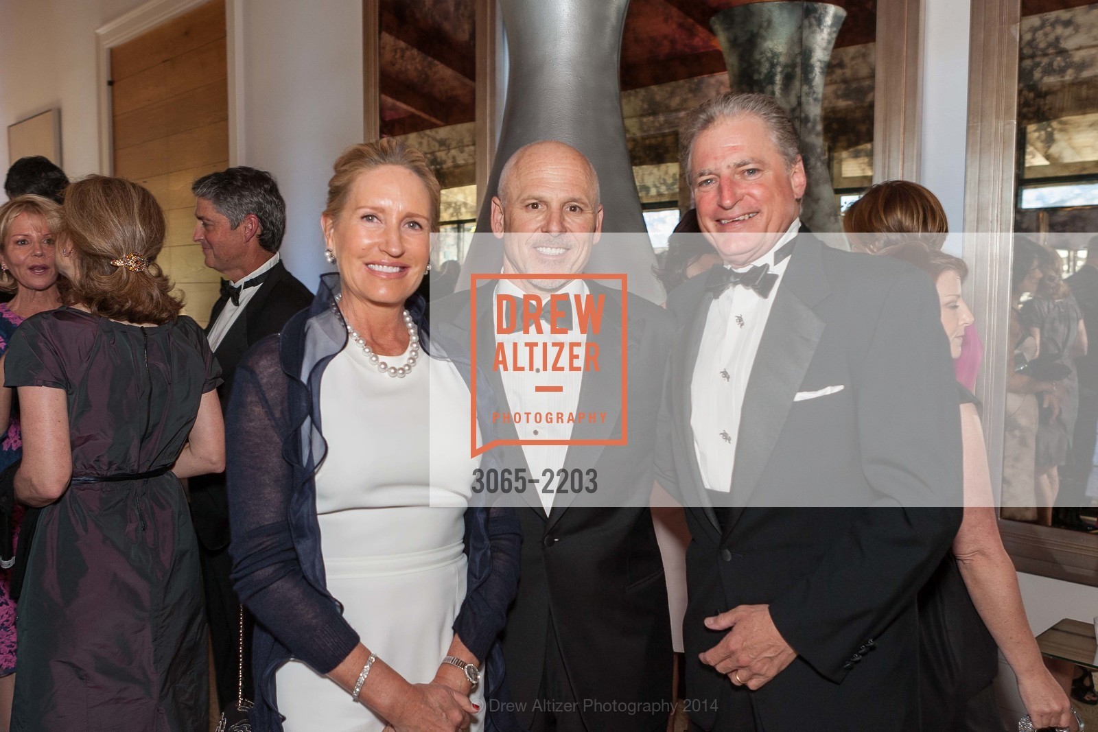 Ellen Rosenberg, Douglas Rosenberg, Blake Winchell, Part the Cloud 2014, Rosewood Sand Hill Hotel. San Francisco, May 13th, 2014, Photo #3065-2203 Ellen Rosenberg, Douglas Rosenberg, Blake Winchell, Photo #3065-2203