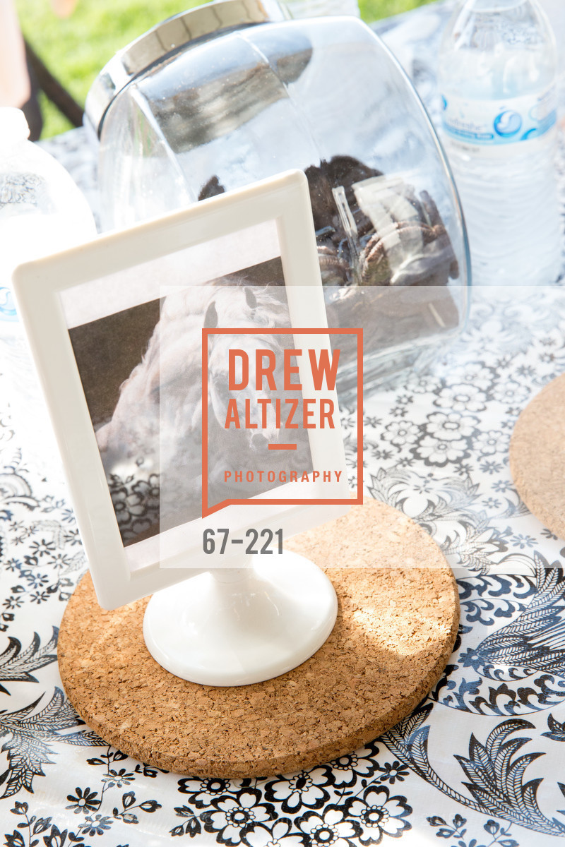 Atmosphere, Menlo Charity Horse Show Gala, Menlo Circus Club. 190 Park Lane, August 7th, 2015,Drew Altizer, Drew Altizer Photography, full-service agency, private events, San Francisco photographer, photographer california