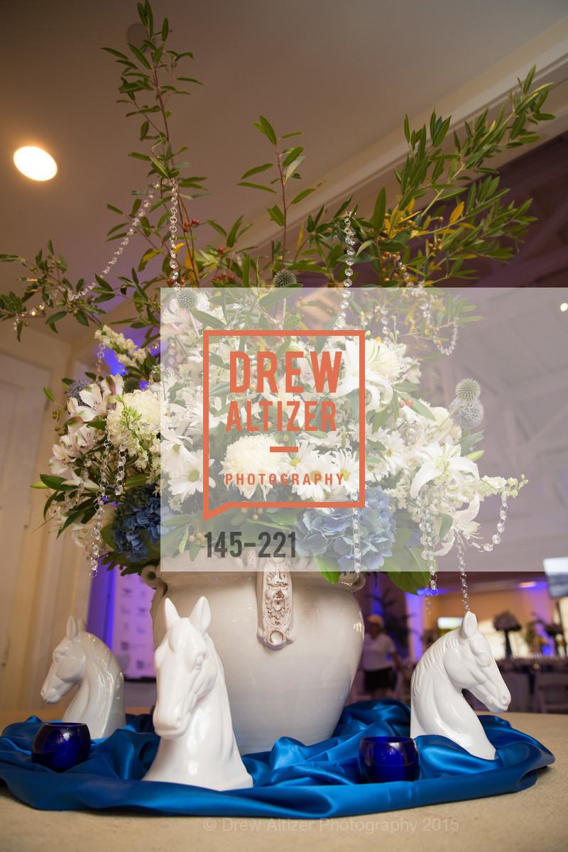 Atmosphere, Menlo Charity Horse Show Gala, Menlo Circus Club. 190 Park Lane, August 7th, 2015,Drew Altizer, Drew Altizer Photography, full-service agency, private events, San Francisco photographer, photographer california