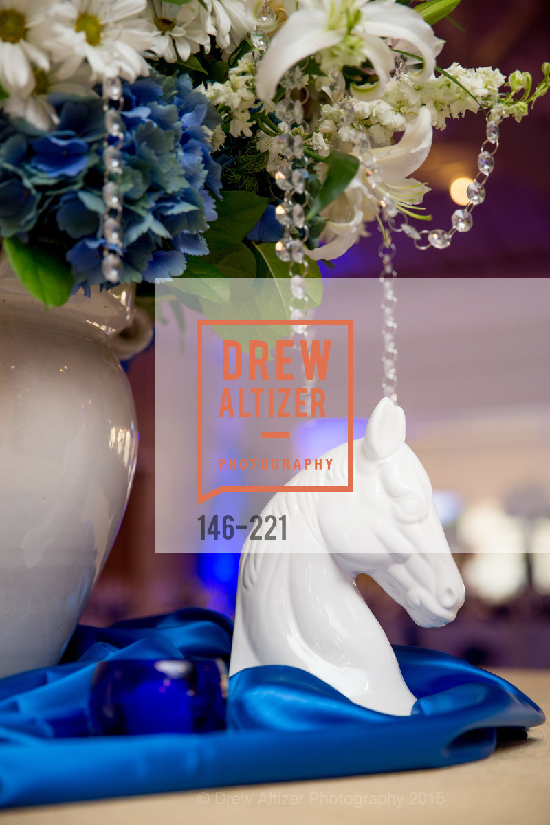 Atmosphere, Menlo Charity Horse Show Gala, Menlo Circus Club. 190 Park Lane, August 7th, 2015,Drew Altizer, Drew Altizer Photography, full-service agency, private events, San Francisco photographer, photographer california