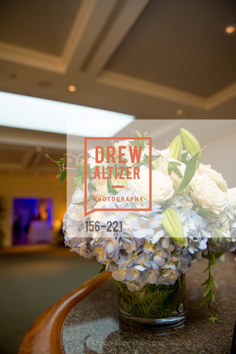 Atmosphere, Menlo Charity Horse Show Gala, Menlo Circus Club. 190 Park Lane, August 7th, 2015,Drew Altizer, Drew Altizer Photography, full-service agency, private events, San Francisco photographer, photographer california