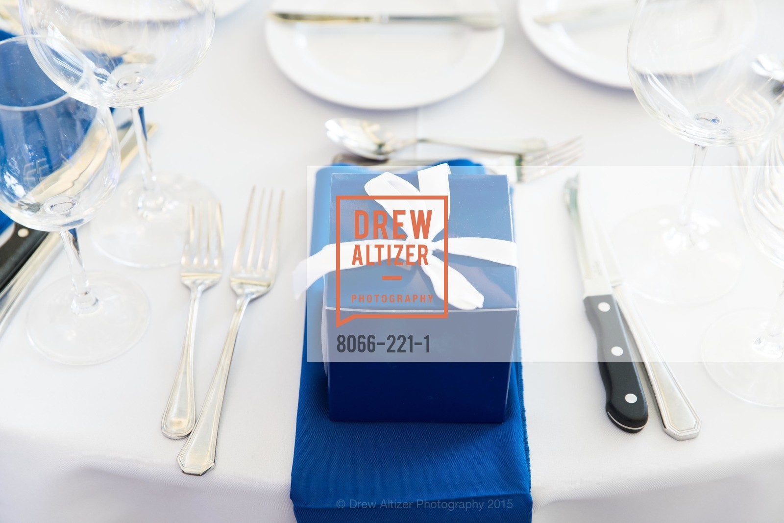 Atmosphere, Menlo Charity Horse Show Gala, Menlo Circus Club. 190 Park Lane, August 7th, 2015,Drew Altizer, Drew Altizer Photography, full-service agency, private events, San Francisco photographer, photographer california