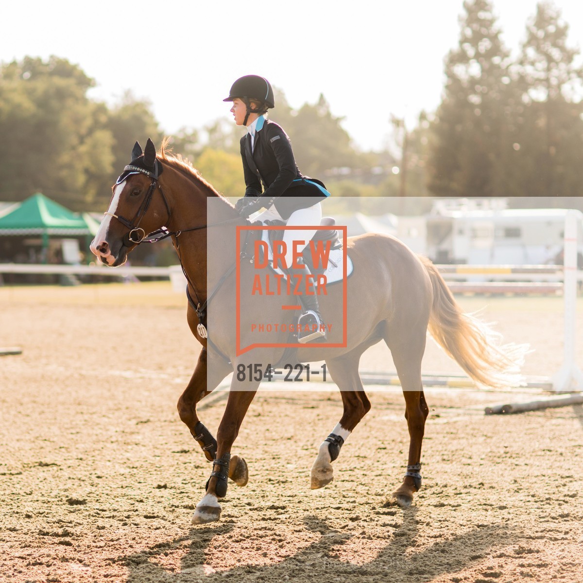 Horse Show, Menlo Charity Horse Show Gala, Menlo Circus Club. 190 Park Lane, August 7th, 2015