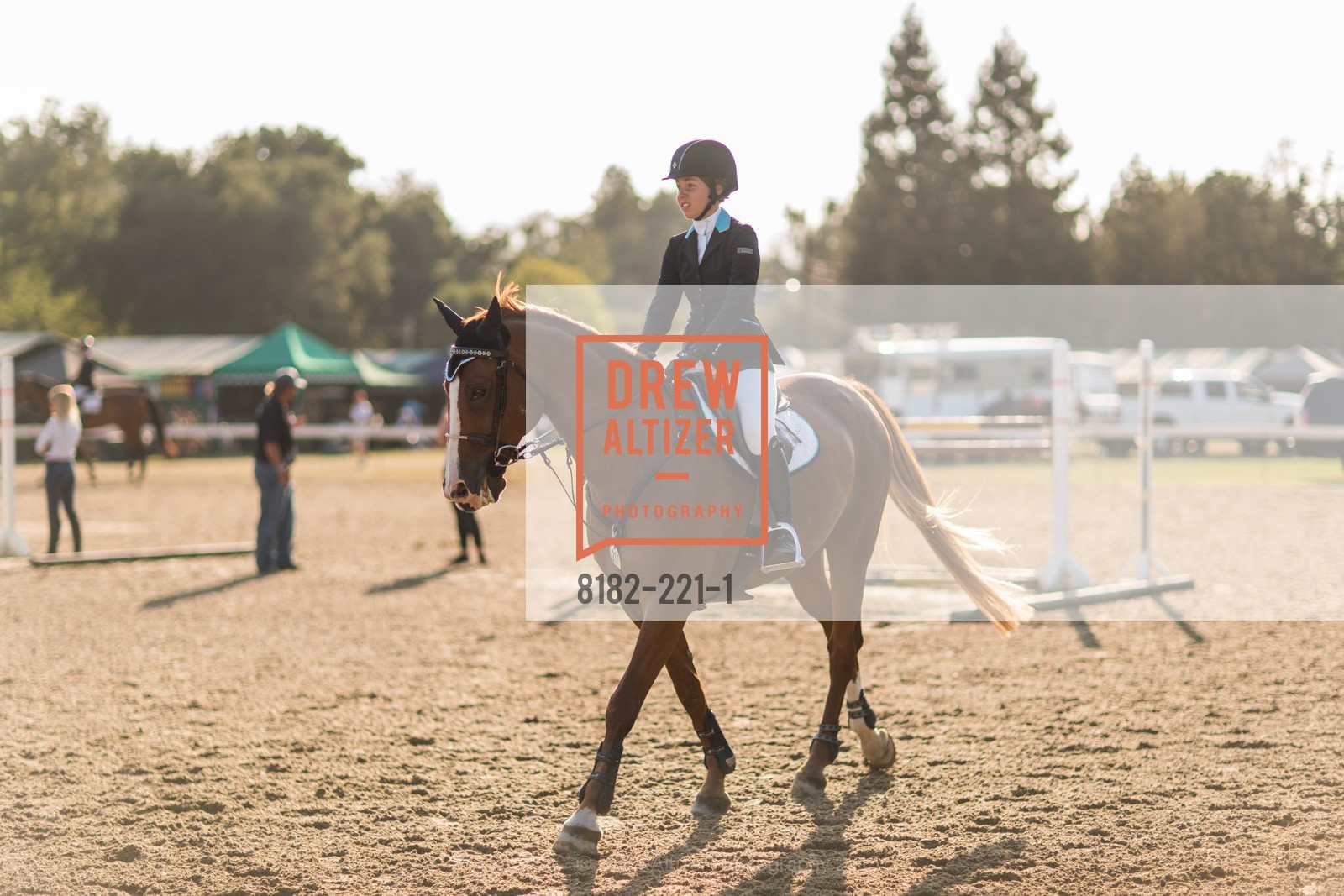 Horse Show, Menlo Charity Horse Show Gala, Menlo Circus Club. 190 Park Lane, August 7th, 2015,Drew Altizer, Drew Altizer Photography, full-service agency, private events, San Francisco photographer, photographer california