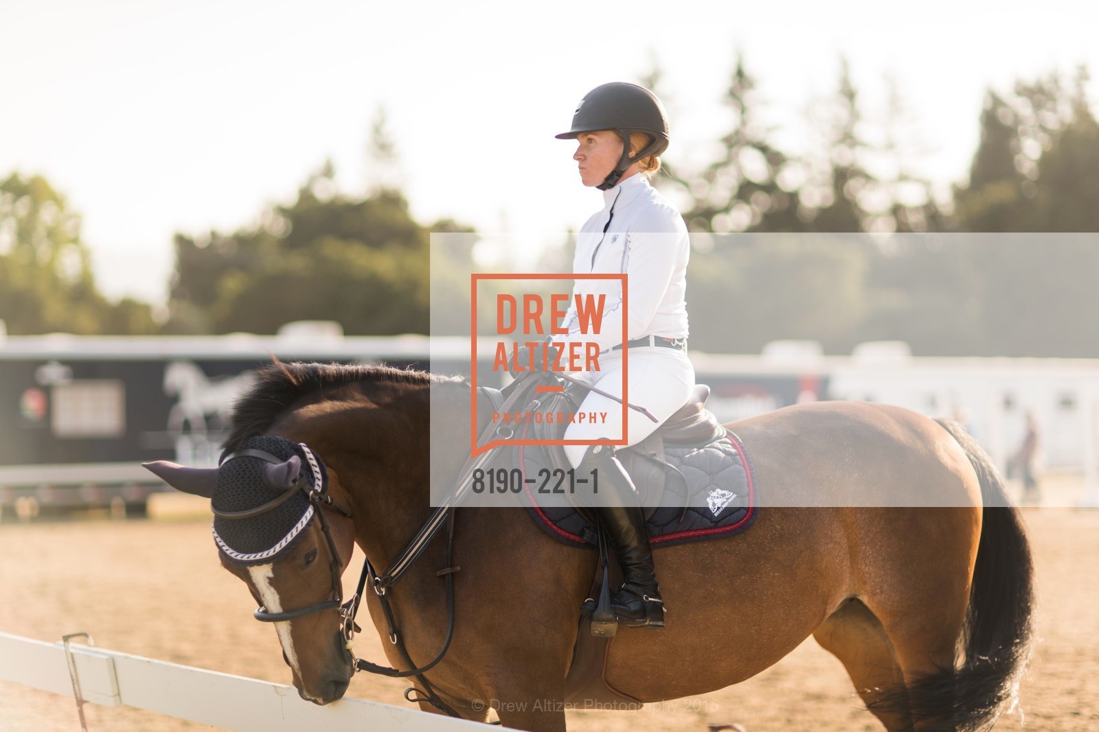 Horse Show, Menlo Charity Horse Show Gala, Menlo Circus Club. 190 Park Lane, August 7th, 2015,Drew Altizer, Drew Altizer Photography, full-service agency, private events, San Francisco photographer, photographer california