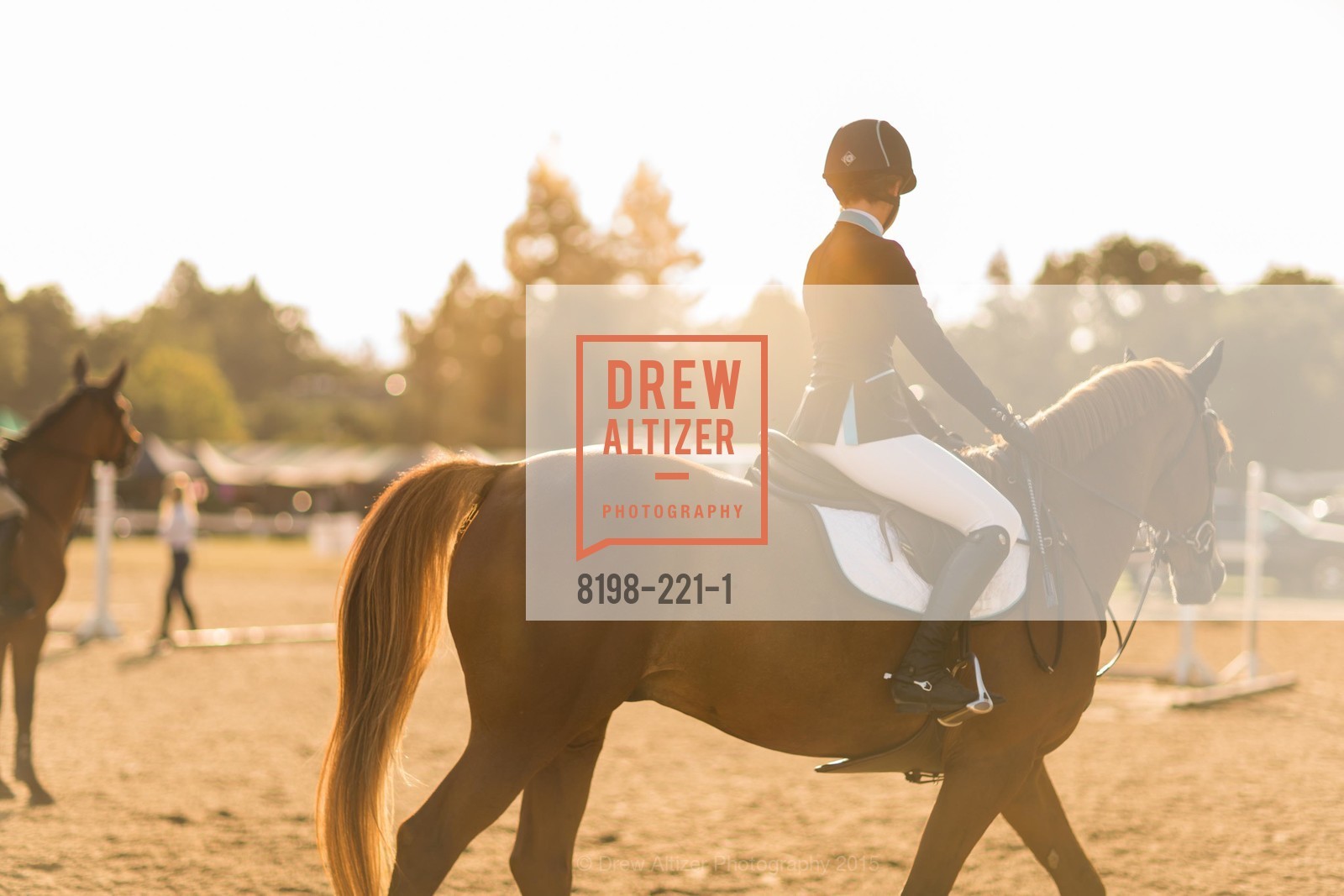 Horse Show, Menlo Charity Horse Show Gala, Menlo Circus Club. 190 Park Lane, August 7th, 2015,Drew Altizer, Drew Altizer Photography, full-service agency, private events, San Francisco photographer, photographer california