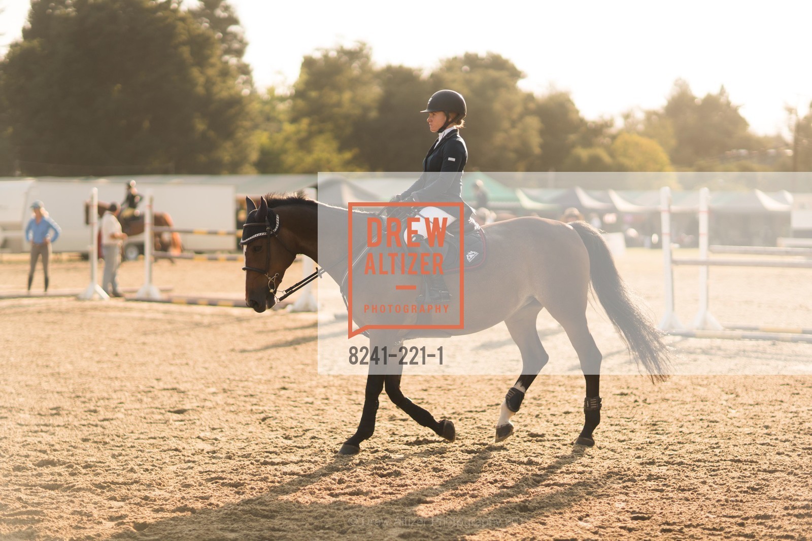 Horse Show, Menlo Charity Horse Show Gala, Menlo Circus Club. 190 Park Lane, August 7th, 2015,Drew Altizer, Drew Altizer Photography, full-service agency, private events, San Francisco photographer, photographer california