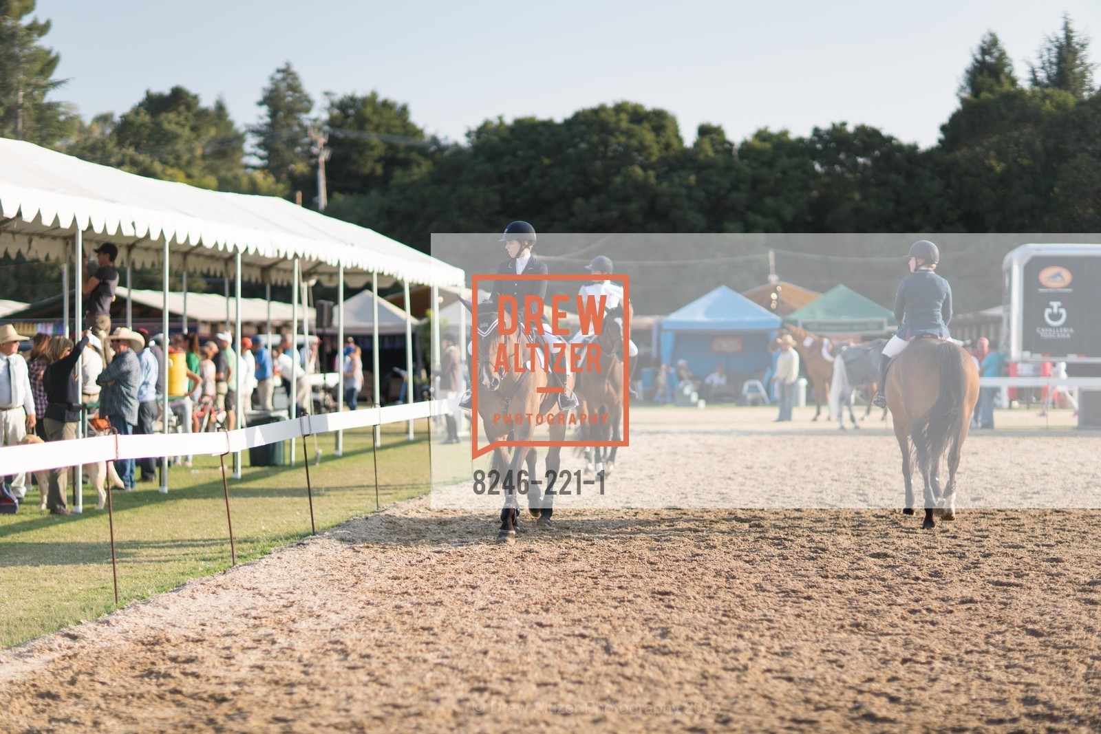 Horse Show, Menlo Charity Horse Show Gala, Menlo Circus Club. 190 Park Lane, August 7th, 2015