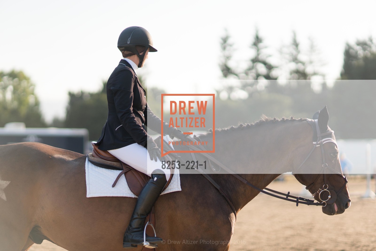 Horse Show, Menlo Charity Horse Show Gala, Menlo Circus Club. 190 Park Lane, August 7th, 2015,Drew Altizer, Drew Altizer Photography, full-service agency, private events, San Francisco photographer, photographer california