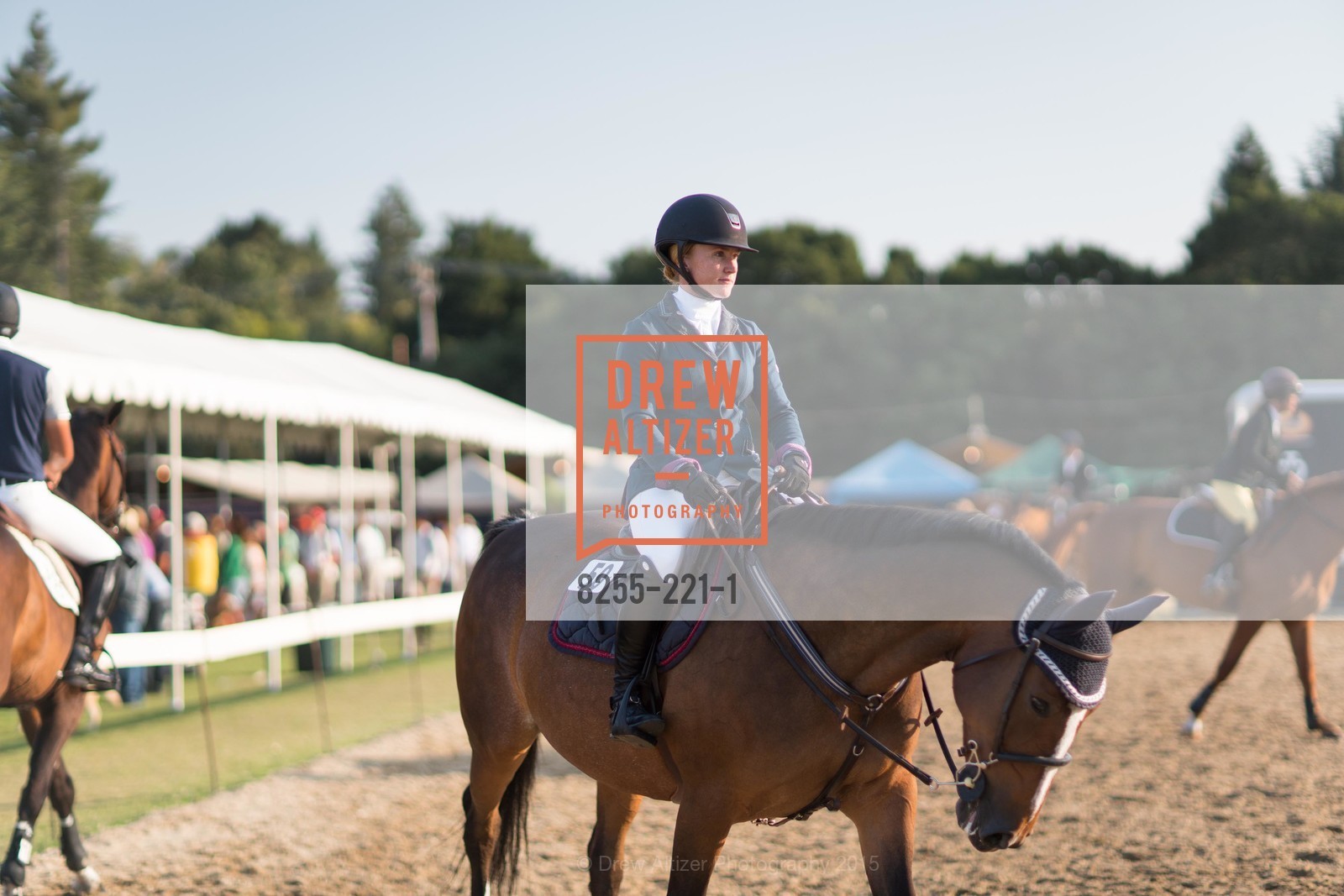 Horse Show, Menlo Charity Horse Show Gala, Menlo Circus Club. 190 Park Lane, August 7th, 2015,Drew Altizer, Drew Altizer Photography, full-service agency, private events, San Francisco photographer, photographer california