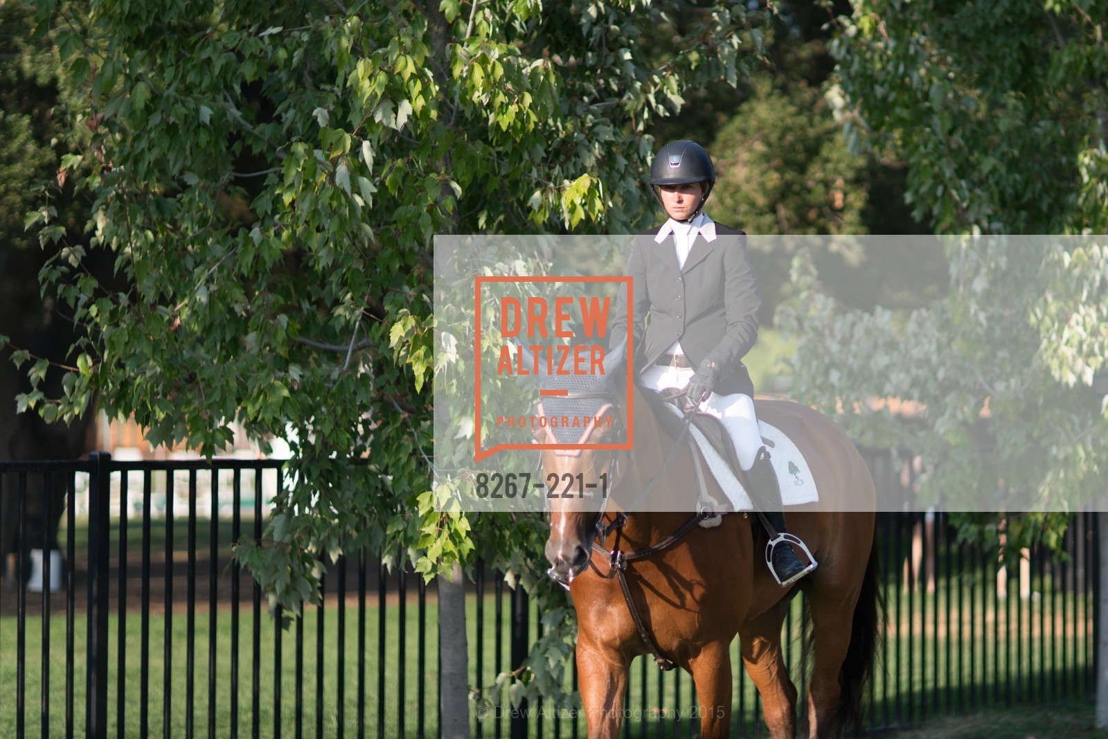 Horse Show, Menlo Charity Horse Show Gala, Menlo Circus Club. 190 Park Lane, August 7th, 2015,Drew Altizer, Drew Altizer Photography, full-service agency, private events, San Francisco photographer, photographer california