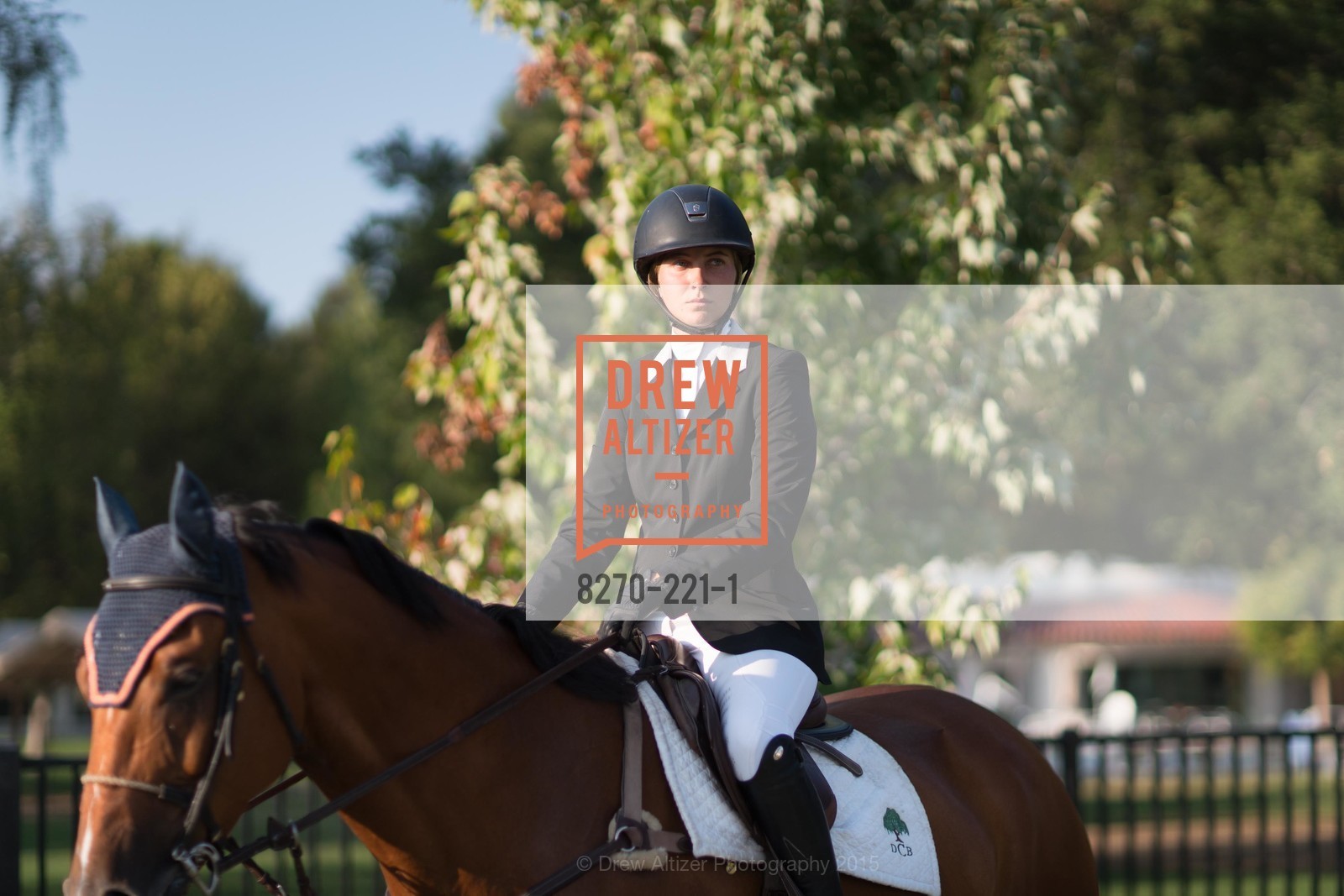Horse Show, Menlo Charity Horse Show Gala, Menlo Circus Club. 190 Park Lane, August 7th, 2015,Drew Altizer, Drew Altizer Photography, full-service agency, private events, San Francisco photographer, photographer california
