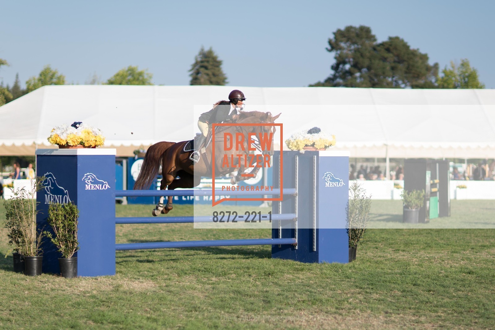 Horse Show, Menlo Charity Horse Show Gala, Menlo Circus Club. 190 Park Lane, August 7th, 2015,Drew Altizer, Drew Altizer Photography, full-service agency, private events, San Francisco photographer, photographer california