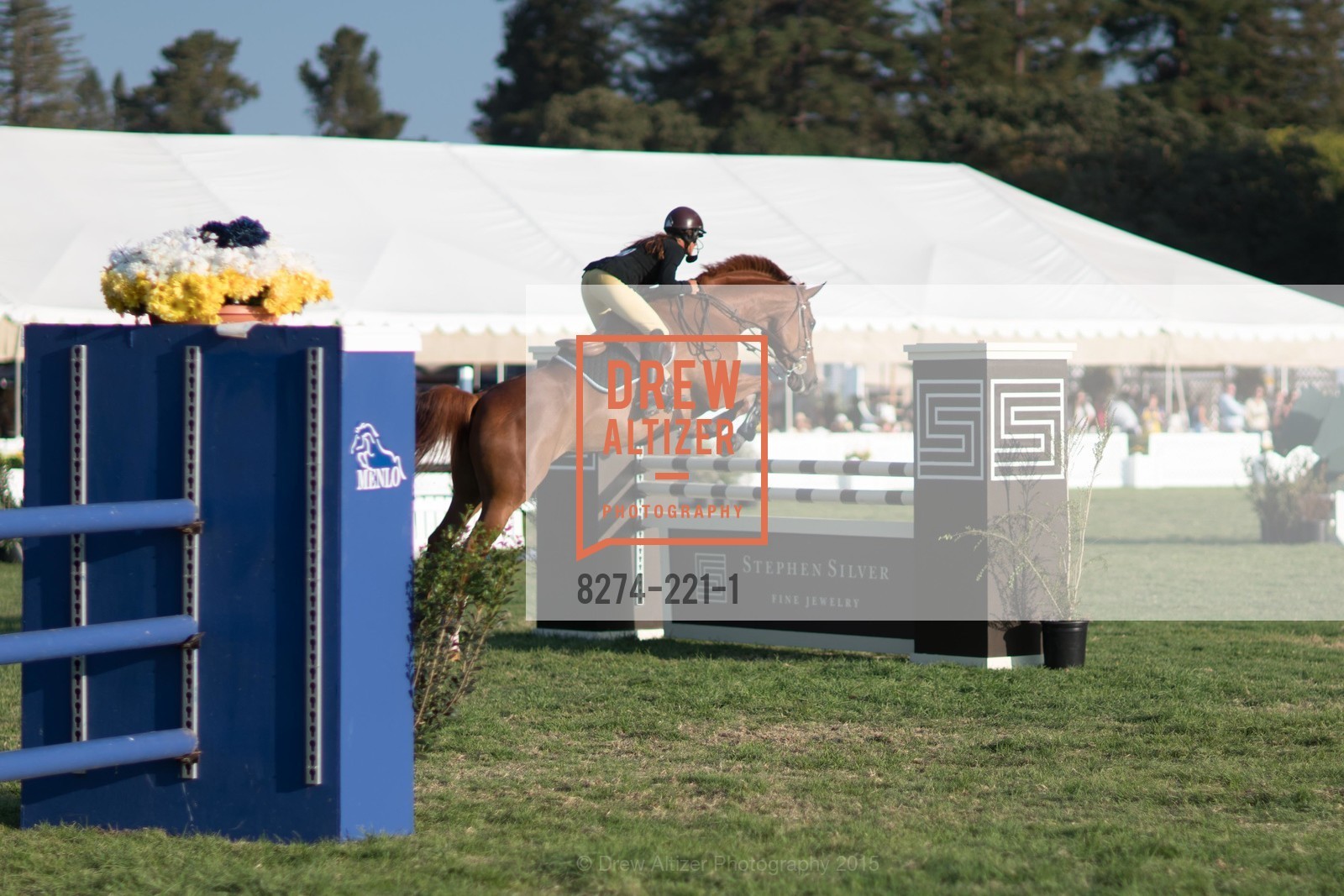 Horse Show, Menlo Charity Horse Show Gala, Menlo Circus Club. 190 Park Lane, August 7th, 2015,Drew Altizer, Drew Altizer Photography, full-service agency, private events, San Francisco photographer, photographer california