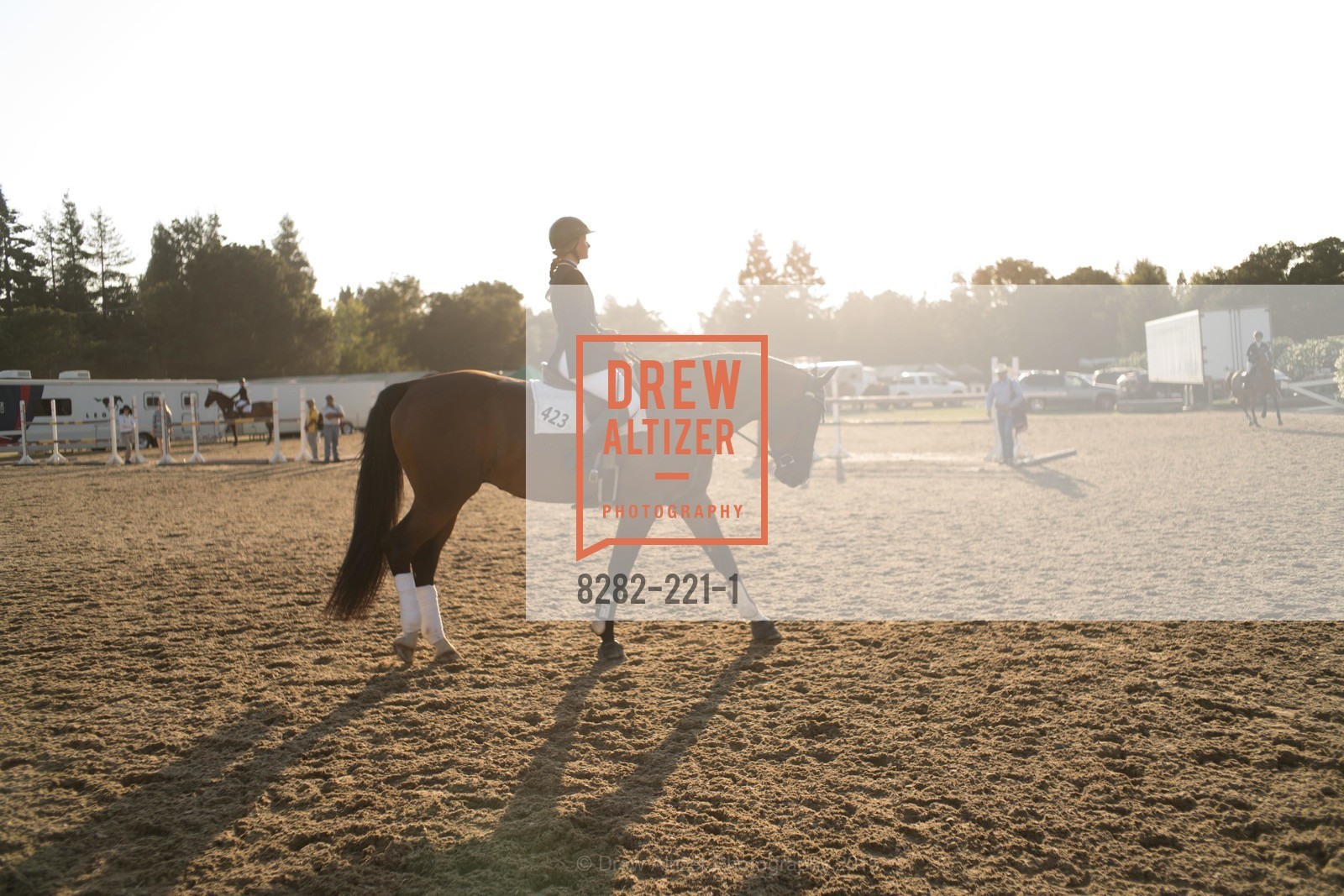 Horse Show, Menlo Charity Horse Show Gala, Menlo Circus Club. 190 Park Lane, August 7th, 2015,Drew Altizer, Drew Altizer Photography, full-service agency, private events, San Francisco photographer, photographer california