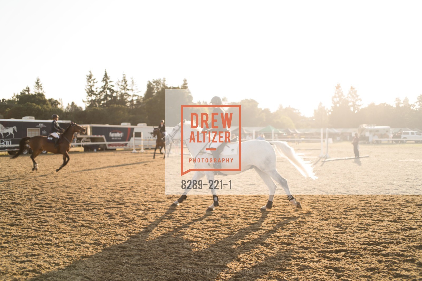 Horse Show, Menlo Charity Horse Show Gala, Menlo Circus Club. 190 Park Lane, August 7th, 2015,Drew Altizer, Drew Altizer Photography, full-service agency, private events, San Francisco photographer, photographer california