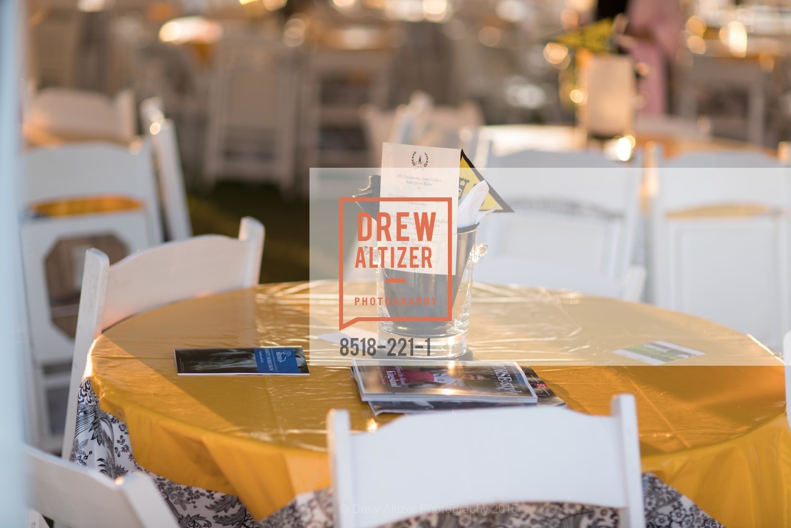 Atmosphere, Menlo Charity Horse Show Gala, Menlo Circus Club. 190 Park Lane, August 7th, 2015,Drew Altizer, Drew Altizer Photography, full-service agency, private events, San Francisco photographer, photographer california