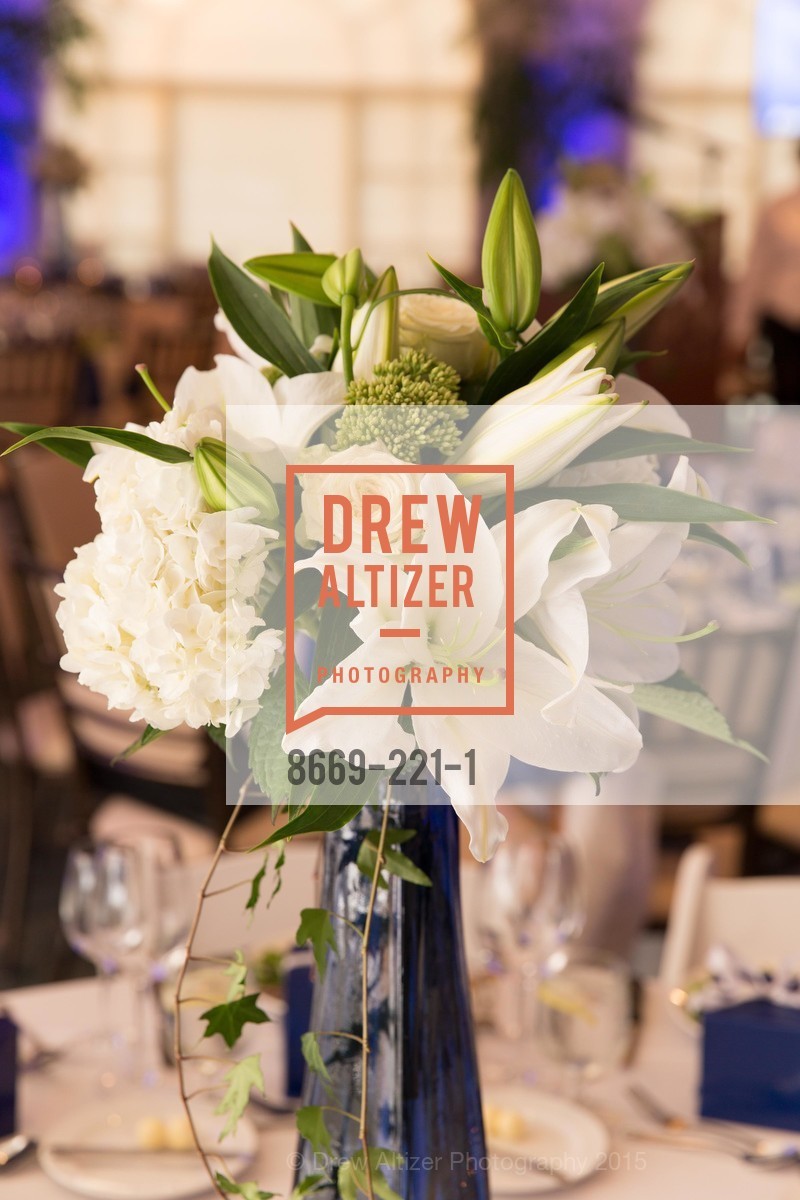 Atmosphere, Menlo Charity Horse Show Gala, Menlo Circus Club. 190 Park Lane, August 7th, 2015,Drew Altizer, Drew Altizer Photography, full-service agency, private events, San Francisco photographer, photographer california