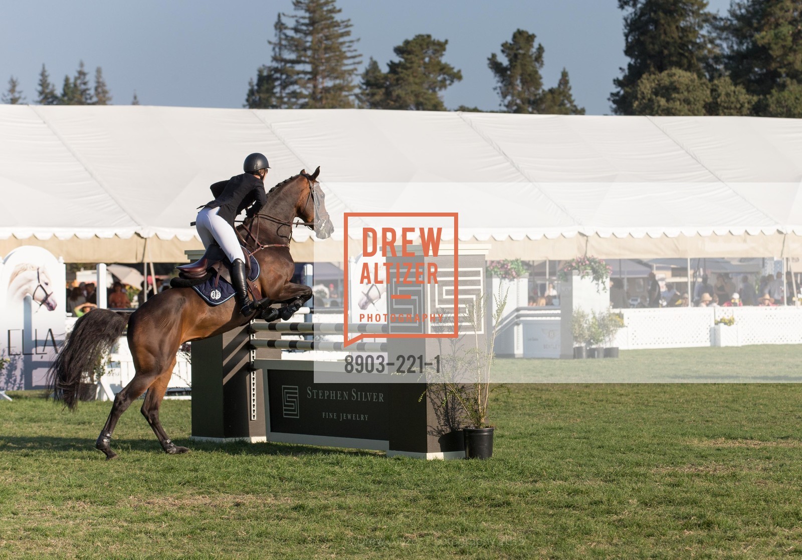Horse Show, Menlo Charity Horse Show Gala, Menlo Circus Club. 190 Park Lane, August 7th, 2015,Drew Altizer, Drew Altizer Photography, full-service agency, private events, San Francisco photographer, photographer california